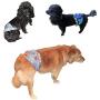 FDC Leak Proof Waterproof Diapers Dog Belly Band Male Wrap Washable Reusable Absorbent Pad Lined for Small Medium Large Pets Black (XXXL: Waist 20'' - 27'', Retro Licence)
