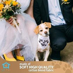 JT Pet My Humans are Getting Married & She Said Yes Dog Wedding Bandana Dog of Honor Dog Wedding Attire Puppy, Dog Handkerchiefs - Wedding Dog Bandana - Dog Engagement Announcement - Save The Date