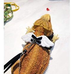 Preferhouse Adjustable Reptile Harness, Cute Angel Wing Bearded Dragon Leash, Anti-bite Reptile Tank Accessories, for Lizard, Gecko, Chameleon, Small Animal, Blue