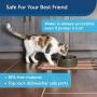 PetSafe Current Pet Fountain, Circulating Drinking Fountain for Cats and Dogs