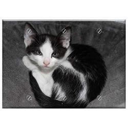 Triple Blank Wall Plate Cover - Cat Pet Black And White Cat Young Cat
