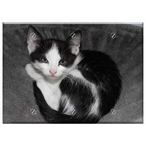 Triple Blank Wall Plate Cover - Cat Pet Black And White Cat Young Cat Triple Blank Wall Plate Cover - Cat Pet Black And White Cat Young Cat