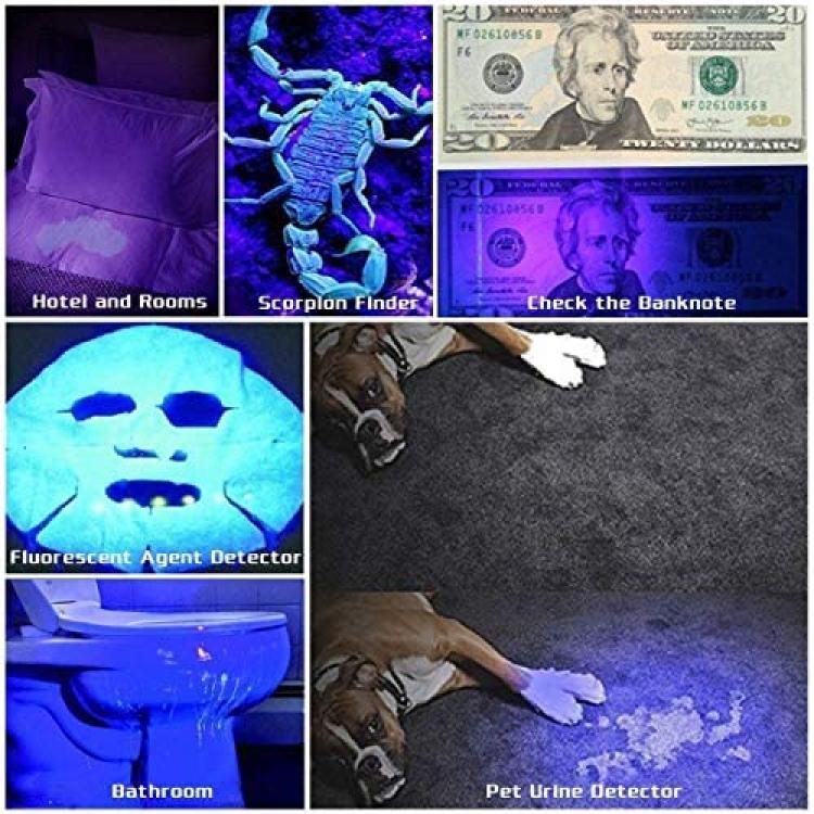 Uv Flashlight With 51 Led Bulbs, Led Torch, Dog/cat Urine Detector, Resin,  Fluorescent, Scorpion, Etc.