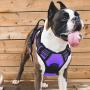 Vovodog Dog Harness No-Pull Pet Harness, Adjustable Outdoor Walking Pet Reflective Oxford Soft Vest with 2 Metal Rings and Handle Easy Control for Small Medium Large Dogs…