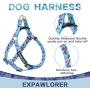 EXPAWLORER No Pull Dog Harness and Leash Set with Collar - Heavy Duty & Adjustable Basic Harness for Small Medium Dogs & Cats