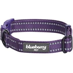 Blueberry Pet Essentials 9 Colors Safe & Comfy Reflective Classic Solid Color Dog Collars