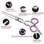 BRAINYS Professional Dog Grooming Scissors Kit, Japanese Craftsmanship Heavy Duty 6 in1 Set- Genuine Superior 4CR Stainless Steel with Safety Tips BRAINYS Professional Dog Grooming Scissors Kit, Japanese Craftsmanship Heavy Duty 6 in1 Set- Genuine Superior 4CR Stainless Steel with Safety Tips