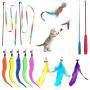 Scettar Cat Fishing Pole Toy,14 Pcs Cat Toys Interactive with 2 Pole 10 Replacement 2 Cat Robbin Worm DA Bird Toy Ball Wand Toy for Indoor Cat