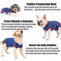 QBLEEV Recovery Suit for Dogs After Surgery, Alternative E-Collars Bandages, Professional Surgical Pet Wear Shirts for Abdominal Wounds and Skin Diseases…