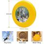 Pet Frisbee Flying Disc Dog Toy - Multifunction Work in Progress V Jeanne Newton Schoborg