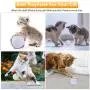 Domgoopet Interactive Cat Toys Ball, Self Rotating Cat Toy, Newest Version USB Rechargeable Pet Toy,Buit-in Spinning LED Light, Stimulate Hunting Instinct for Your Cat/Kitty/Kitten/Pets