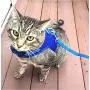Downtown Pet Supply Cat Vest Harness and Leash Combo with Added Safety Features to Make it Escape Proof for Small, Medium, Large Cats and Small Dogs/Puppy (Available in Blue and Black)