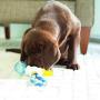 JW Puppy Connects Crinkle Ball Replacement