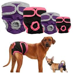B0838XQ2SK Redcolourful Female Breathable Physiological Pants for Small Meidium Pets Dogs Purple M