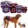 B0838XQ2SK Redcolourful Female Breathable Physiological Pants for Small Meidium Pets Dogs Purple M