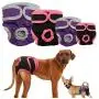B0838XQ2SK Redcolourful Female Breathable Physiological Pants for Small Meidium Pets Dogs Purple M B0838XQ2SK Redcolourful Female Breathable Physiological Pants for Small Meidium Pets Dogs Purple M
