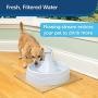 PetSafe Drinkwell 360 Cat and Dog Water Fountain - Automatic Drinking Dispenser for Pets - 128 oz