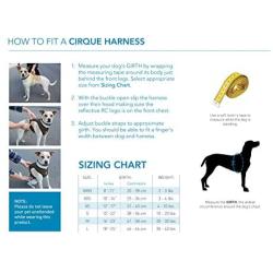 RC Pet Products Cirque Soft Walking Dog Harness