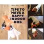 Home Simple Things Interactive Dog Toy for Medium or Large Breeds - Chew Puzzle for Aggressive Chewers, Treat Dispensing Dog Toy, Juguetes para Perros, Puppy Puzzle Toy, Interactive Dog Puzzle Toy