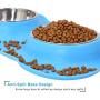 UPSKY Dog Cat Bowls Stainless Steel Double Dog Food and Water Bowls with No-Spill No-Skid Silicone Mat, Pet Feeder Bowls Small Puppy Bowl for Small Dogs Cats