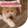 XFasten Anti-Scratch Cat Training Tape, Clear, 2.5-Inches x 15 Yards