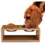 Flexzion Elevated Raised Dog and Cat Pet Feeder Bowls - Raised Stand Feed Station Tray Waterer with Double Stainless Steel Bowl Dish for Dog Cat Food and Water Modern Bamboo Style