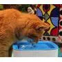 Purrfect World Cat and Dog Water Fountain w/Carbon - Ion Exchange Filter : 84 Oz / 2.5L Capacity : Provides Fresh Filtered Water for Your Pet
