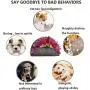 Farfly Snuffle Mat，Dog Snuffle Mat，Nosework for Dogs Large Small PetDog Puzzle Toys Interactive Feeding Mat Machine Washable