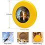 Pet Frisbee Flying Disc Dog Toy - Multifunction Bonhomme Richard Engaging The Serapis in Battle Paul Walsh