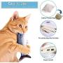 Interactive Fish Kicker cat Toy, Electronic 3D Printed Fish, Realistic Plush Simulation Electric Wagging Fish Cat Toy Catnip Kicker Toys, Funny Pets Pillow Chew Bite Kick Supplies for Cat