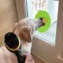 Lick Mat for Dogs Large Size 2pcs, Dog Washing Distraction Device, Peanut Butter Lick Pad with Strong Suction for Bathing, Grooming and Training Lick Mat for Dogs Large Size 2pcs, Dog Washing Distraction Device, Peanut Butter Lick Pad with Strong Suction for Bathing, Grooming and Training