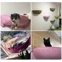 Decdeal Cat Pet Window Perch Hammock Bed Cat Window Seat Cat Bed with Suction Cups Sunbath Shelves Hammock Bed for Cats