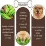 AUBBC Upgraded Snuffle Mat, Dog Puzzle Toys Interactive Feeding Mat with Dog Encourage Natural Foraging Skills and Nose Work Training for Dogs Bowl Dog Treat Dispenser Stress Relief- Machine Washable AUBBC Upgraded Snuffle Mat, Dog Puzzle Toys Interactive Feeding Mat with Dog Encourage Natural Foraging Skills and Nose Work Training for Dogs Bowl Dog Treat Dispenser Stress Relief- Machine Washable