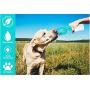 Pet Water Bottle, Leak-Proof Dog Water Dispenser with Drinking Feeder for Pets - Outdoor Walking, Hiking, Traveling - Portable and Convenient, Food-Grade, BPA-Free Silicone Multi-Color Options 14oz