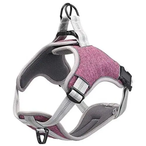 JSM Dog Harness Reflective Adjustable No Pull Dog Working Training Vest Harness Well-Matched Most Leash for Small Medium Large Dog JSM Dog Harness Reflective Adjustable No Pull Dog Working Training Vest Harness Well-Matched Most Leash for Small Medium Large Dog