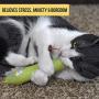 OurPets 100% North American Catnip Filled Cat Toys (Interactive Cat Toys for Indoor Cats, Kitten Toy, Cat Chew Toy & Catnip Toys for Cats) Great for Cats who enjoy Catnip & Interactive Cat Toys
