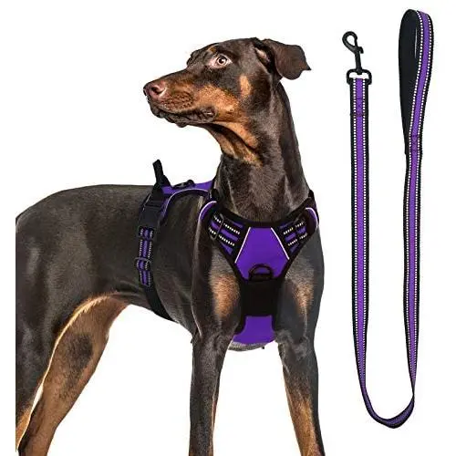 Dog Harness, No-Pull Pet Harness with a Matching dog Leash - Breathable Chest Padded Mesh Adjustable Reflective Dog Vest, Front/Back Leash Clips and Easy Control Handle for Outdoor Walking Training Dog Harness, No-Pull Pet Harness with a Matching dog Leash - Breathable Chest Padded Mesh Adjustable Reflective Dog Vest, Front/Back Leash Clips and Easy Control Handle for Outdoor Walking Training