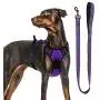 Dog Harness, No-Pull Pet Harness with a Matching dog Leash - Breathable Chest Padded Mesh Adjustable Reflective Dog Vest, Front/Back Leash Clips and Easy Control Handle for Outdoor Walking Training Dog Harness, No-Pull Pet Harness with a Matching dog Leash - Breathable Chest Padded Mesh Adjustable Reflective Dog Vest, Front/Back Leash Clips and Easy Control Handle for Outdoor Walking Training