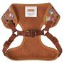 Nickelodeon All Stars Dog Harness for Large Dogs