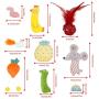 Catnip Cat Toys for Indoor Cats, 9 Pack Interactive Cat Toy with Crinkle, Squeaky, Rattle Sound, Kitten Stuffed Animal Cat Toy Set Assorted Plush Pet Toys, Cat Chew Toy for Chewing, Hunting, Teething