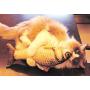 Duona Catnip Toys 5 Pack -Cotton Plush Pillow Chew Bite Play Fetch Toy Simulation Fish Shape Realistic Fluffy Catnip Doll Interactive Pets Pillow Chew Bite Supplies for Cat Kitten Kitty