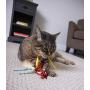 Petlinks Play Pack Cat