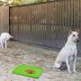 Baring 3 Pieces Dog Lick Pad Mat, Slow Feeder Dog mat, Dog Treat Distraction Mat for Licking/Yoghurts/Peanut/Pet Bathing