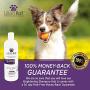 Lillian Ruff Brightening & Whitening Shampoo for Dogs – Tear Free Coconut Scent with Aloe for Dry & Sensitive Skin – Adds Shine & Luster to Coats