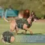PETAC GEAR Tactical Dog Harness K9 Working Dog Vest Military Dog Training Harness Police Service Dog Vest with Handle, Molle Panel, Breathable Mesh