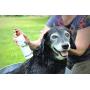 Jackie Doodles Pet Shampoo - Easily Removes Odors, Dirt & Itchy Dander - Awesome Results Guaranteed