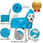 Blueberry Pet 7 Patterns Lightweight Packable Reflective Dog Raincoat or Poncho