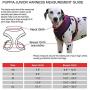 Puppia Authentic Junior Harness A