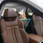 LETTON Dog Car Seat Covers with Mesh Window and Side Flap Durable Scratchproof Waterproof Pet Dog Hammock for Cars/Trucks/SUV Non-Slip Washable Protector for Back Seat