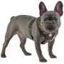 Puppia Thermal Soft Harness